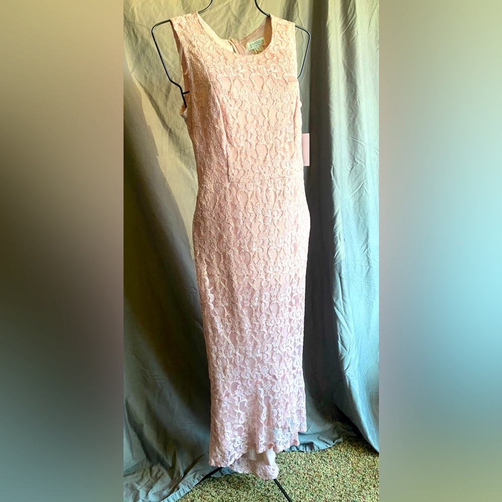 NWT Stunning En Focus Studio Lace Formal Maxi Dress Size 8
